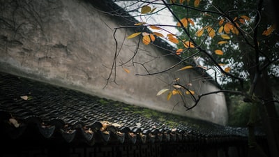 图聚科技